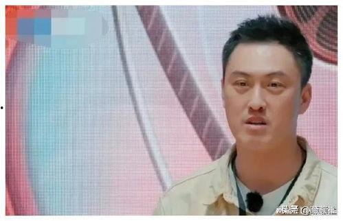 娱乐圈吃瓜爆料最新章节,最新章节揭秘明星幕后真相 第3张 娱乐圈吃瓜爆料最新章节,最新章节揭秘明星幕后真相 第3张